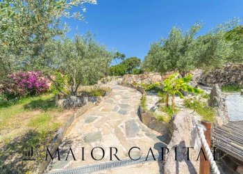 Foto 20 - Attività Commerciale Via Campu, Telti - foto 20