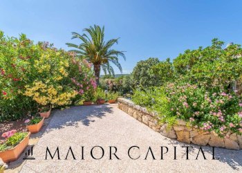 Foto 21 - Attività Commerciale Via Campu, Telti - foto 21