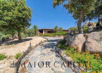 Foto 23 - Attività Commerciale Via Campu, Telti - foto 23