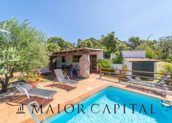 Foto 36 - Attività Commerciale Via Campu, Telti - foto 36