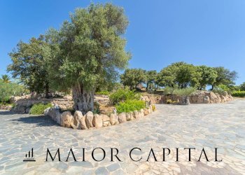 Foto 39 - Attività Commerciale Via Campu, Telti - foto 39