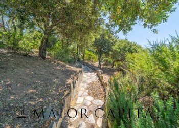 Foto 41 - Attività Commerciale Via Campu, Telti - foto 41