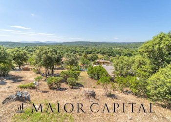 Foto 42 - Attività Commerciale Via Campu, Telti - foto 42