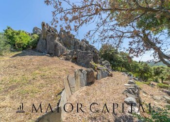 Foto 44 - Attività Commerciale Via Campu, Telti - foto 44