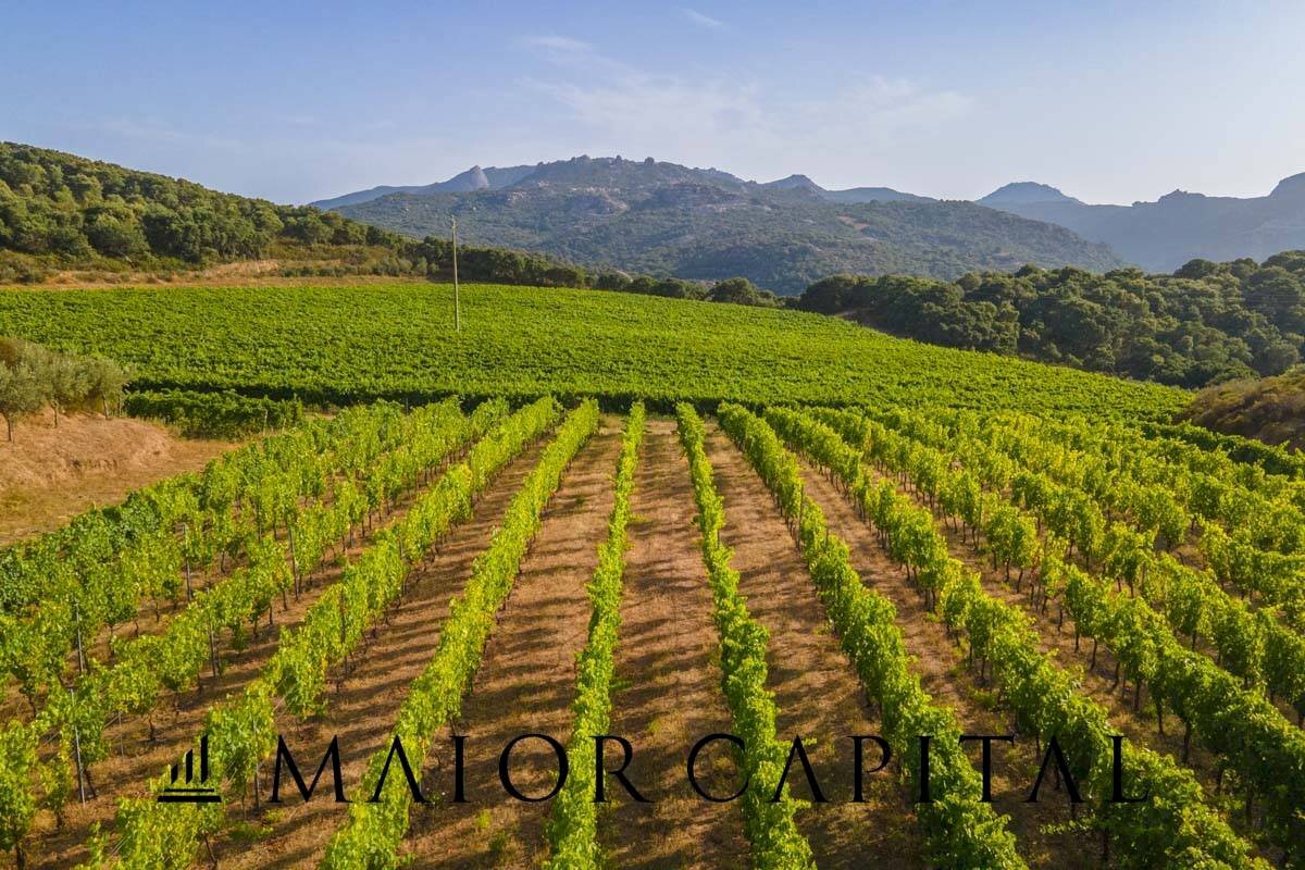 Foto 2 - Agricultural land Via Sigara, Calangianus - photo 2