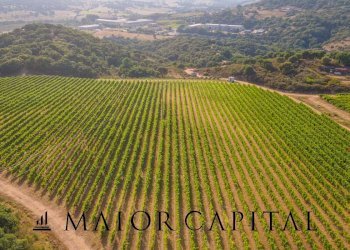 Foto 4 - Terreno agricolo Via Sigara, Calangianus - foto 4