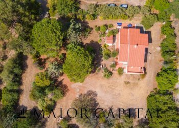 Foto 40 - Villa Loc. Li Scopi, San Teodoro - foto 40