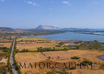 Foto 43 - Villa Loc. Li Scopi, San Teodoro - foto 43