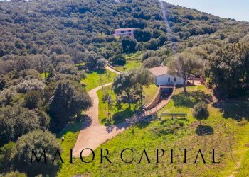 Foto 40 - Villa La Piredda, Arzachena - foto 40