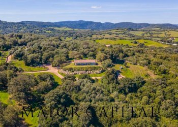 Foto 43 - Villa La Piredda, Arzachena - foto 43