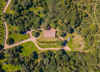 Foto 45 - Villa La Piredda, Arzachena - foto 45