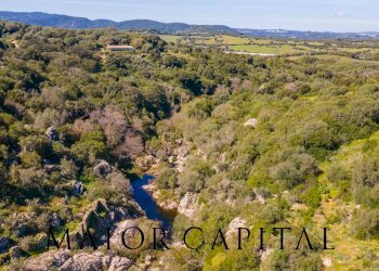 Foto 46 - Villa La Piredda, Arzachena - foto 46