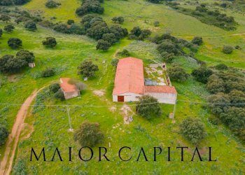 Foto 4 - Terreno agricolo Loc. Osseddu, Berchidda - foto 4