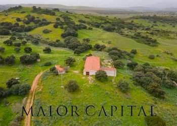 Foto 5 - Terreno agricolo Loc. Osseddu, Berchidda - foto 5