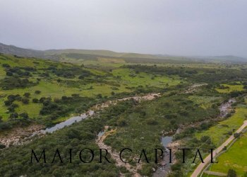 Foto 17 - Terreno agricolo Loc. Osseddu, Berchidda - foto 17