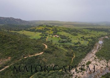 Foto 23 - Terreno agricolo Loc. Osseddu, Berchidda - foto 23