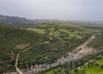 Foto 24 - Terreno agricolo Loc. Osseddu, Berchidda - foto 24