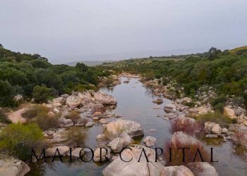 Foto 26 - Terreno agricolo Loc. Osseddu, Berchidda - foto 26