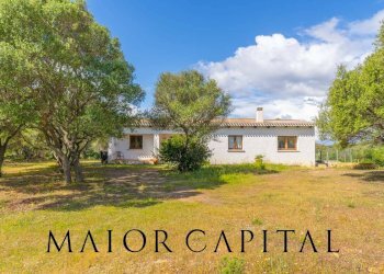 Foto 35 - Villa Loc. Barrabsa, Palau - foto 35