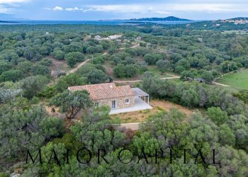 Foto 41 - Villa Località Stazzu Pulcheddu, Palau - foto 41