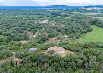 Foto 43 - Villa Località Stazzu Pulcheddu, Palau - foto 43