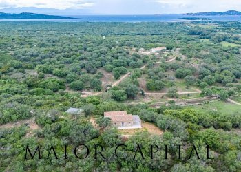 Foto 44 - Villa Località Stazzu Pulcheddu, Palau - foto 44