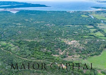 Foto 47 - Villa Località Stazzu Pulcheddu, Palau - foto 47