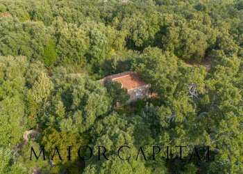 Foto 1 - Terreno agricolo VIA LU PINU, Calangianus - foto 1