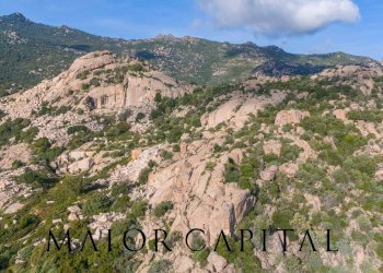 Foto 5 - Terreno agricolo VIA LU PINU, Calangianus - foto 5