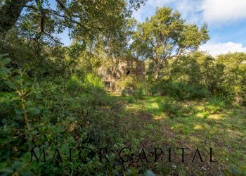 Foto 10 - Terreno agricolo VIA LU PINU, Calangianus - foto 10