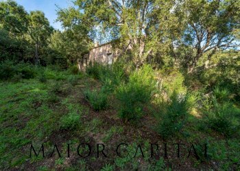 Foto 11 - Terreno agricolo VIA LU PINU, Calangianus - foto 11