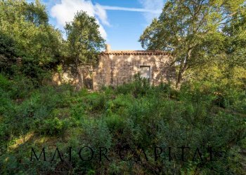 Foto 12 - Terreno agricolo VIA LU PINU, Calangianus - foto 12