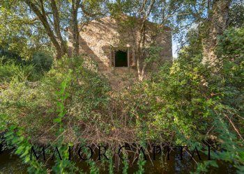 Foto 15 - Terreno agricolo VIA LU PINU, Calangianus - foto 15