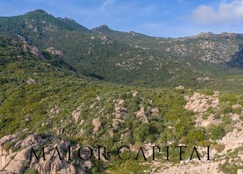 Foto 18 - Terreno agricolo VIA LU PINU, Calangianus - foto 18