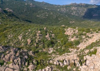 Foto 19 - Terreno agricolo VIA LU PINU, Calangianus - foto 19