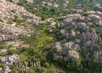 Foto 24 - Terreno agricolo VIA LU PINU, Calangianus - foto 24