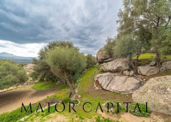 Foto 39 - Villa Via Augusto, Arzachena - foto 39