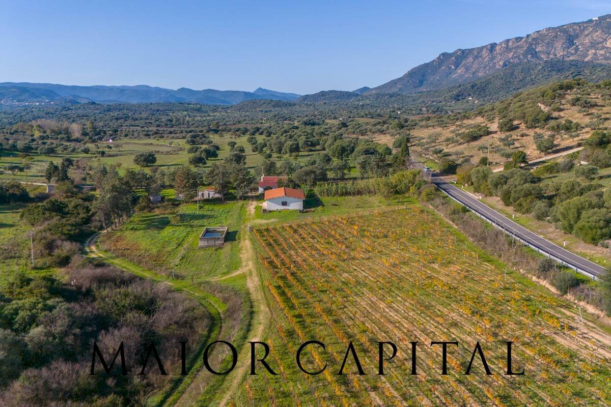 Foto 2 - Terreno agricolo 8C9J+4JR Oliena, Provincia di Nuoro, Oliena - foto 2