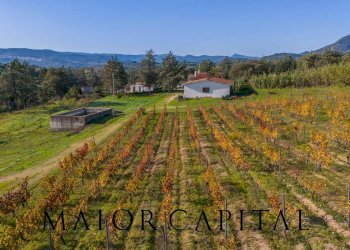 Foto 3 - Terreno agricolo 8C9J+4JR Oliena, Provincia di Nuoro, Oliena - foto 3