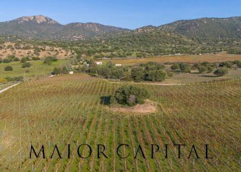 Foto 6 - Terreno agricolo 8C9J+4JR Oliena, Provincia di Nuoro, Oliena - foto 6