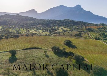 Foto 9 - Terreno agricolo 8C9J+4JR Oliena, Provincia di Nuoro, Oliena - foto 9