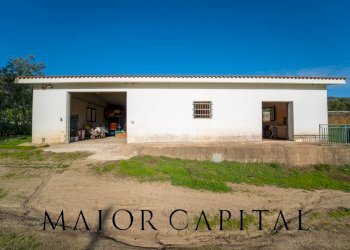 Foto 15 - Terreno agricolo 8C9J+4JR Oliena, Provincia di Nuoro, Oliena - foto 15