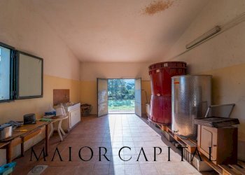 Foto 20 - Terreno agricolo 8C9J+4JR Oliena, Provincia di Nuoro, Oliena - foto 20