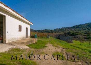 Foto 22 - Terreno agricolo 8C9J+4JR Oliena, Provincia di Nuoro, Oliena - foto 22