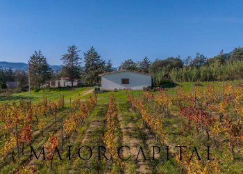 Foto 25 - Terreno agricolo 8C9J+4JR Oliena, Provincia di Nuoro, Oliena - foto 25