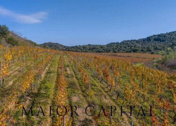 Foto 26 - Terreno agricolo 8C9J+4JR Oliena, Provincia di Nuoro, Oliena - foto 26