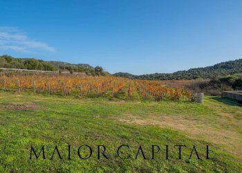 Foto 27 - Terreno agricolo 8C9J+4JR Oliena, Provincia di Nuoro, Oliena - foto 27