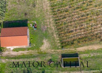 Foto 29 - Terreno agricolo 8C9J+4JR Oliena, Provincia di Nuoro, Oliena - foto 29