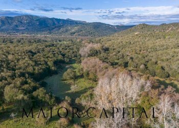 Foto 1 - Terreno agricolo SP110, Padru - foto 1