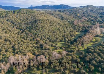 Foto 2 - Terreno agricolo SP110, Padru - foto 2